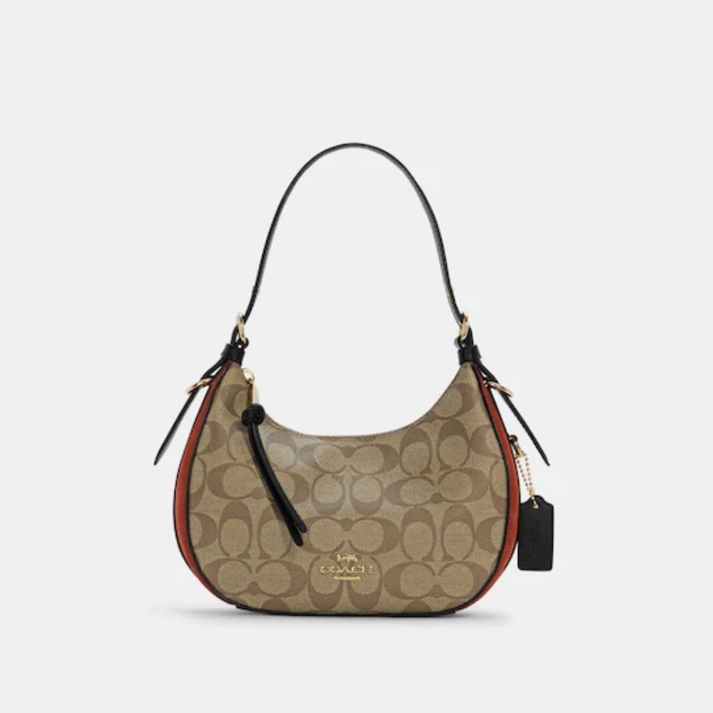 Coach Kleo Hobo In Signature Canvas